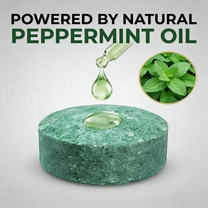 🔥Peppermint Cinnamon Oil Mice Repellent for Squirrel Rats Spider Pests, Mice Repellent for Indoor/Outdoor Use